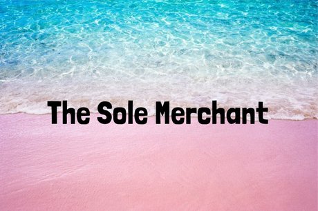 thesolemerchant top actress image
