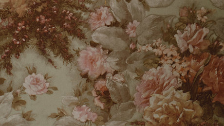 sydney shea star pornographic picture