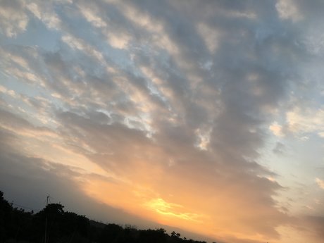 Percy Hidalgo sexy pornstar photos