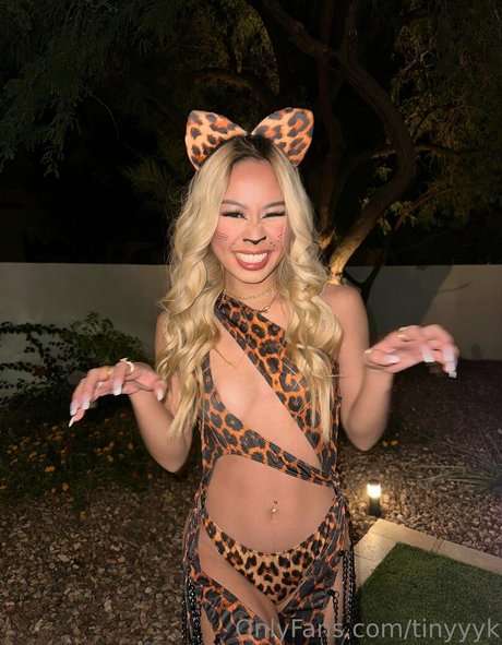 tinyyyk pretty model archive