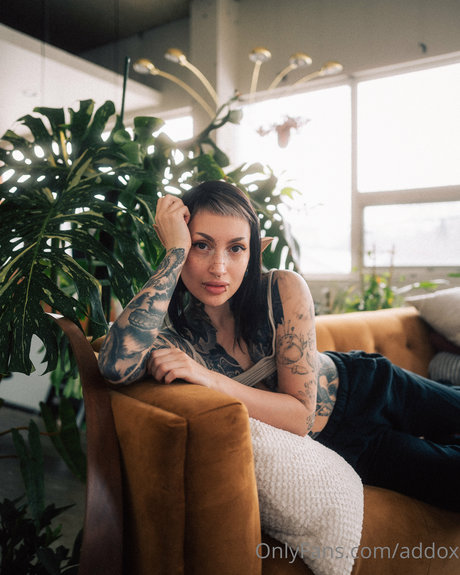 Addox top star photo