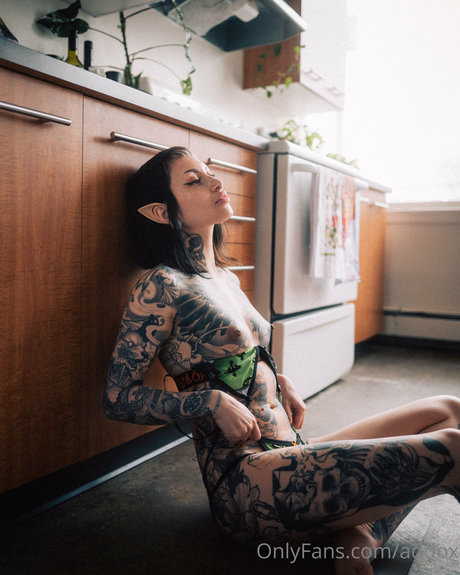 Addox high quality star archive