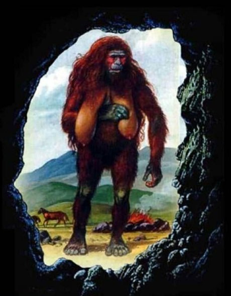 Lillyvig best star pic