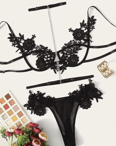 Stepsis high quality model img