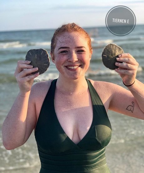 Blue Tiernen star art img