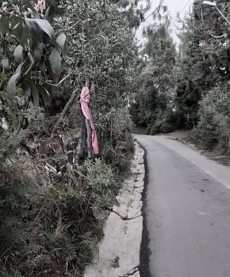 MakyMakys star sexy photos