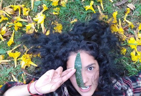 MakyMakys star top picture