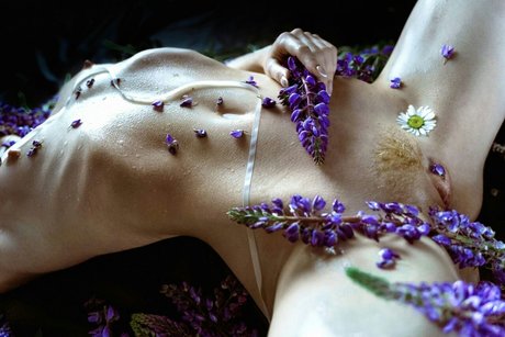 Anastasia Zhilina pornstar high quality archive