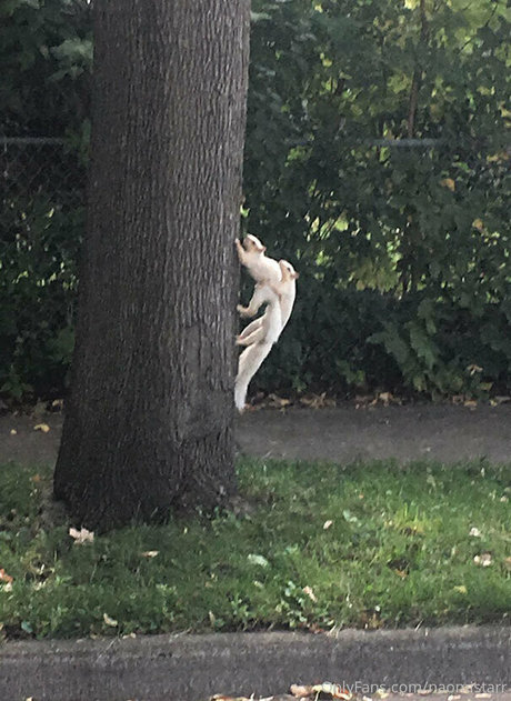 naomistarr pornstar adult galleries