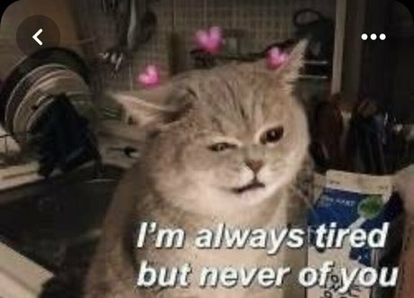 naomistarr adult star pic