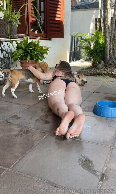 eduardafree star perfect galleries