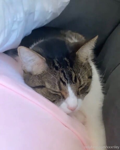 xxxriley hot actress gallery