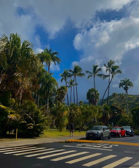 Keira Jackson art star gallery