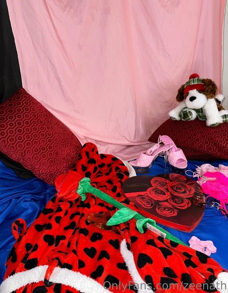 zeenath star xxx picture