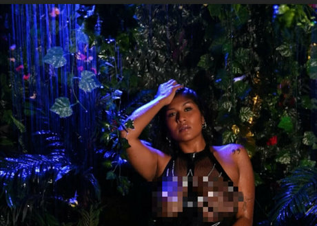 zeenath star art picture