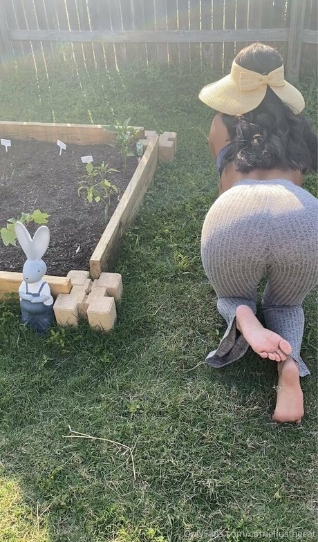 corneliusthecat naked star gallery