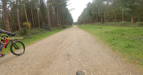 ann antics star exclusive pics