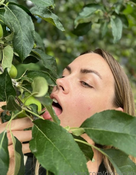 dindondin high quality star images