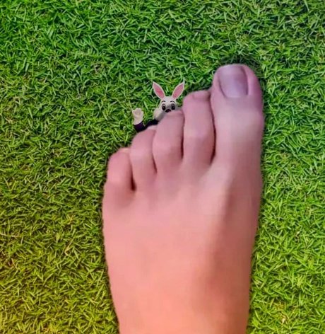 wreckinbecca pornstar adult image