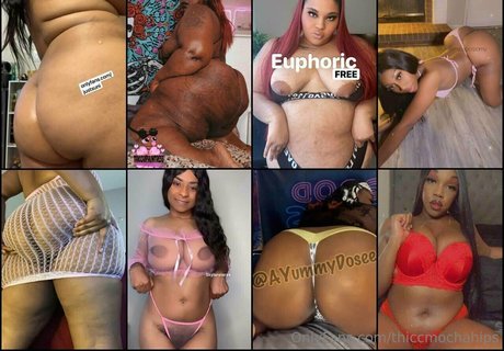 thiccmochahips pornstar nudes pictures