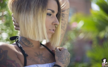 Noa SG star free pics