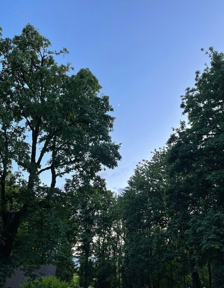 marstonhefner sex star photo