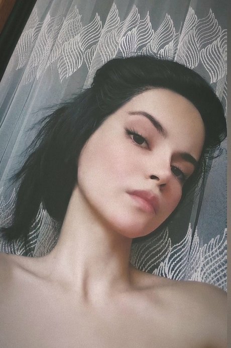 GymFoxFi star art gallery