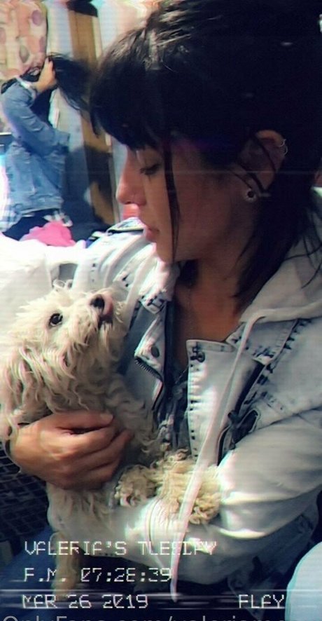 pampi cush model beautiful images