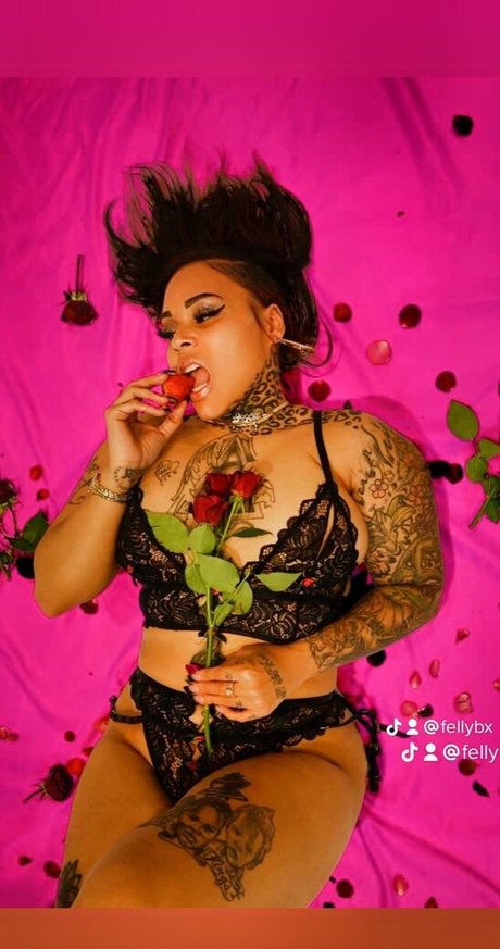 FellyBX star best picture