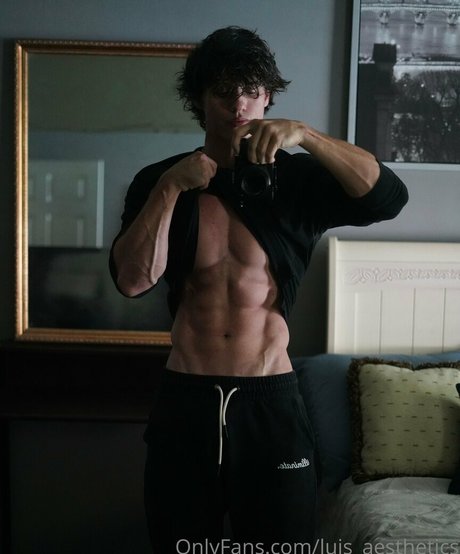 luis aesthetics nude star pictures
