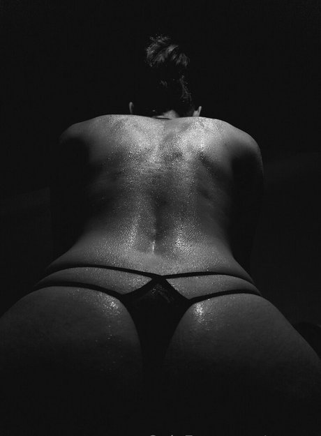 zaryaz star high quality galleries