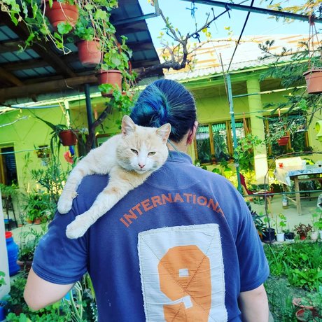 Roxana Grigora_ pornographic star img