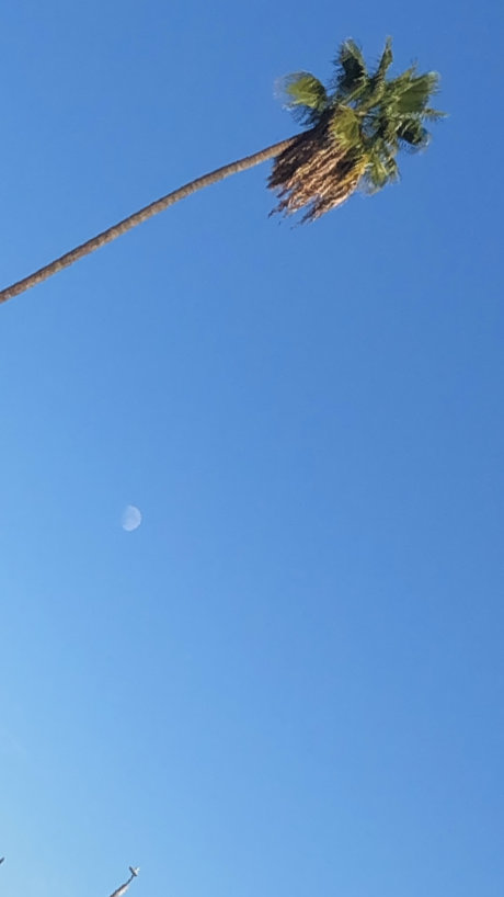 lllletsplay96 perfect pornstar photos