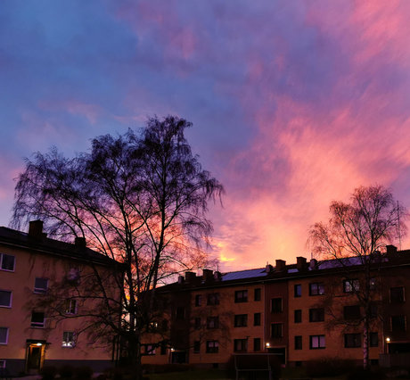 SunBunnie_ pornstar xxx pictures