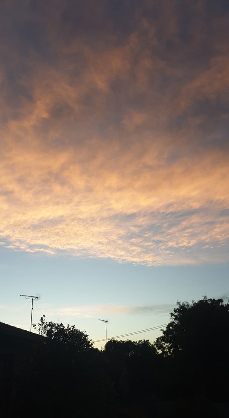 Cuddly bear star high quality gallery