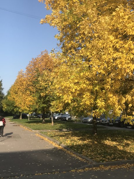 Steph Irl pornstar picture