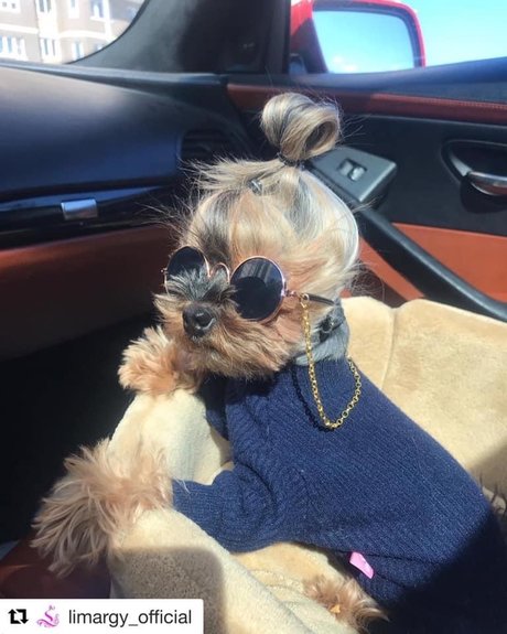 Black Marilyn Monroe pornstar exclusive image