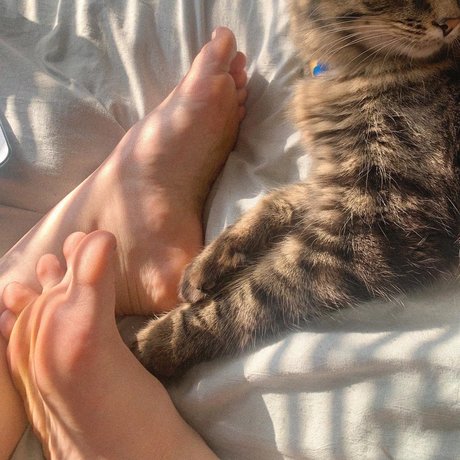 darcy taylor star sex picture