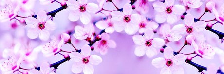 eevee pornstar perfect pic