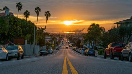 u52561117 model free archive