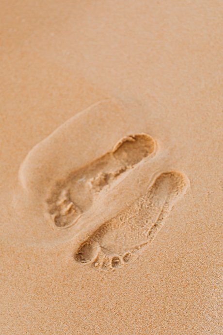 FootsiePop model free gallery