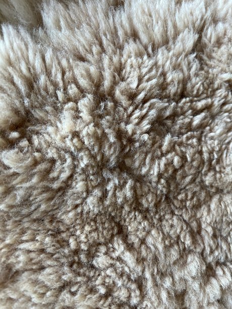 Longtoelola adult model archive