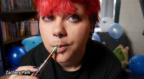 Zachery Park hd model image