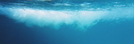 Thom XL star nice pictures