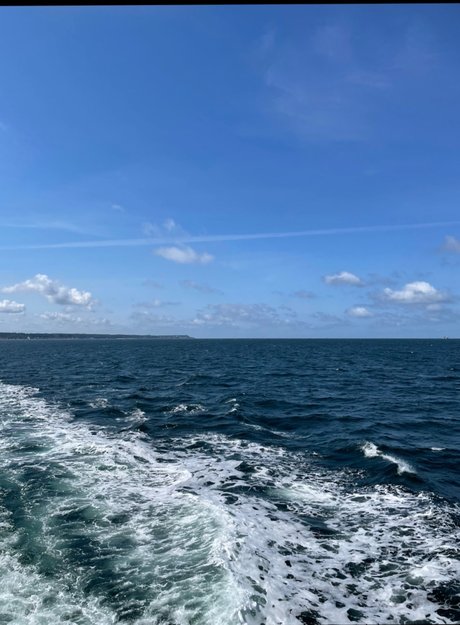 Tobias amp amp Johan beautiful star images