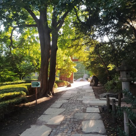 Arikui model top picture