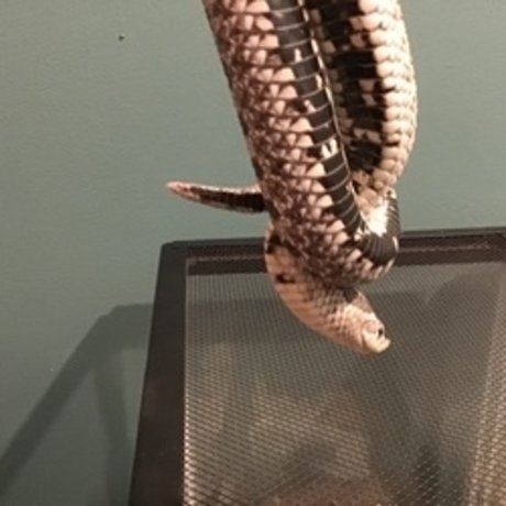 u8360874 pornstar hd pics