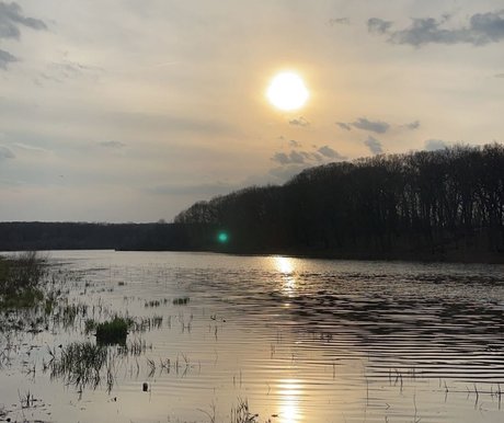 Cosmic Cowboy pornstar xxx images