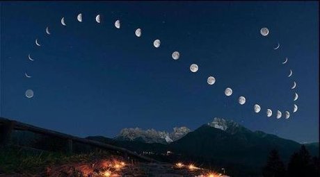 Zed Scheme sex star picture