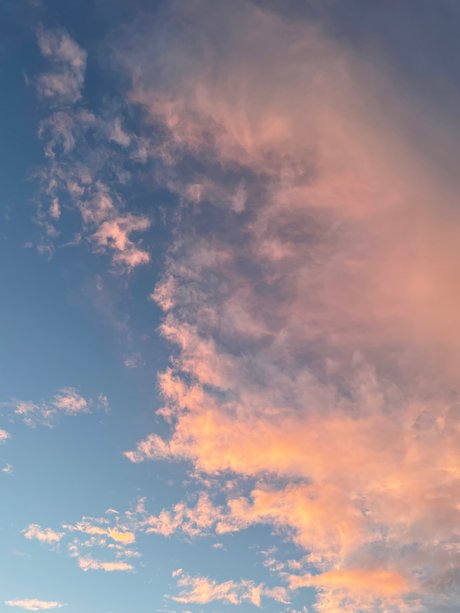 Thickness Williams erotic model galleries